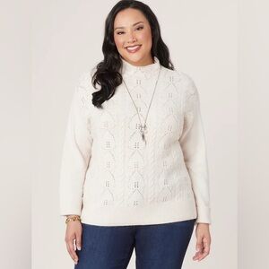 NWT- Democracy Long Roll Funnel Necked Popcorn Stitch Front Plus Size Sweater